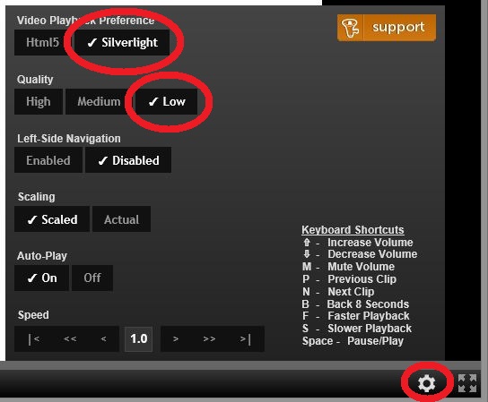 Pluralsight Video Options