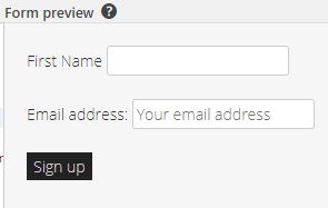 Preview of the form