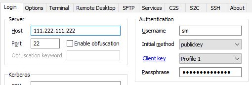 Setting up your host in Bitvise