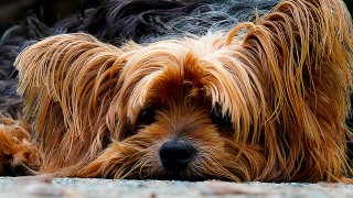Image by Josch13 from Pixabay